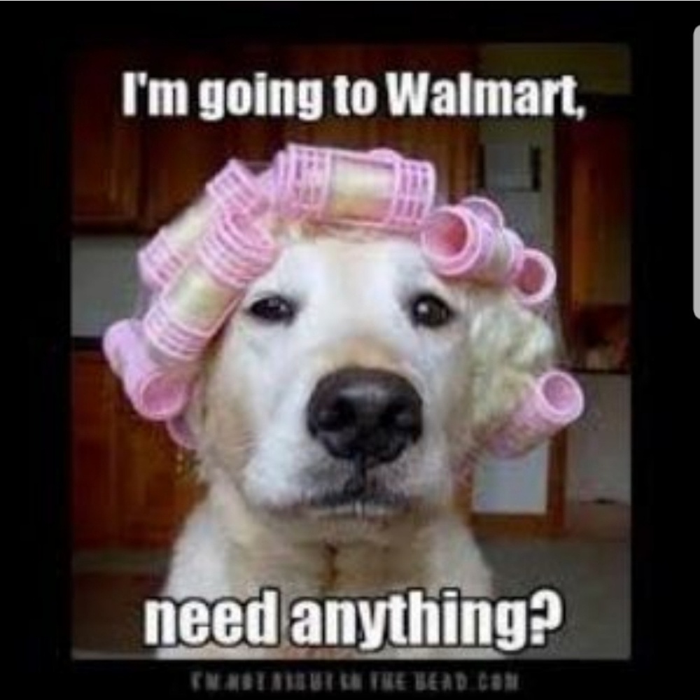 😂 - Picture 6 of 6